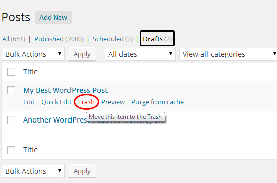 0429-01_wordpress_draft_screen