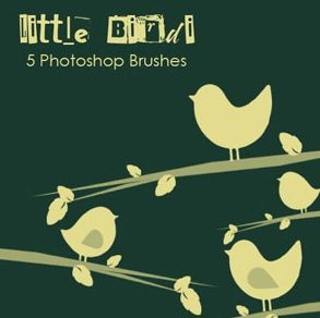 270-little-birdi