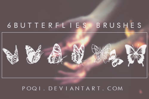 _6_butterflies_brushes__by_poqi-d6m6wcv