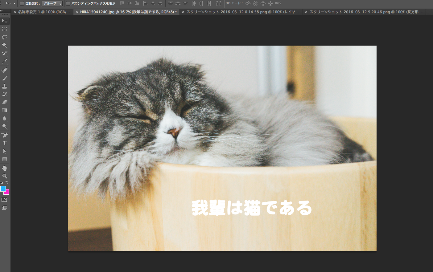 スクリーンショット 2016-03-12 9.26.13