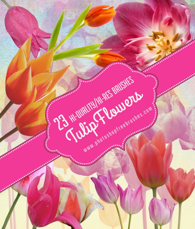tulips-flower-brushes-873x1024