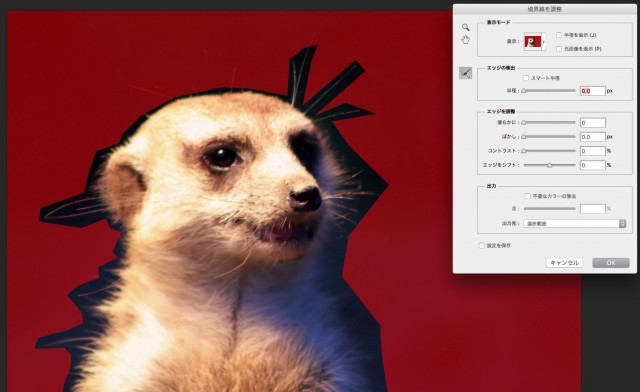 screenshot 347
