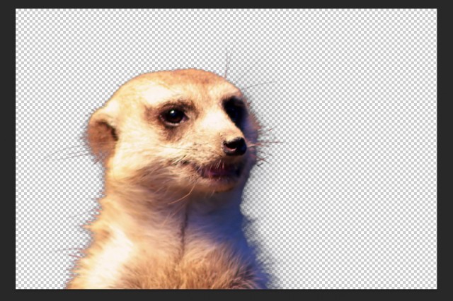 screenshot 353