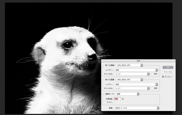 screenshot 356