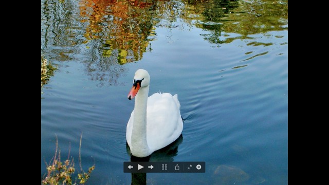 screenshot 452