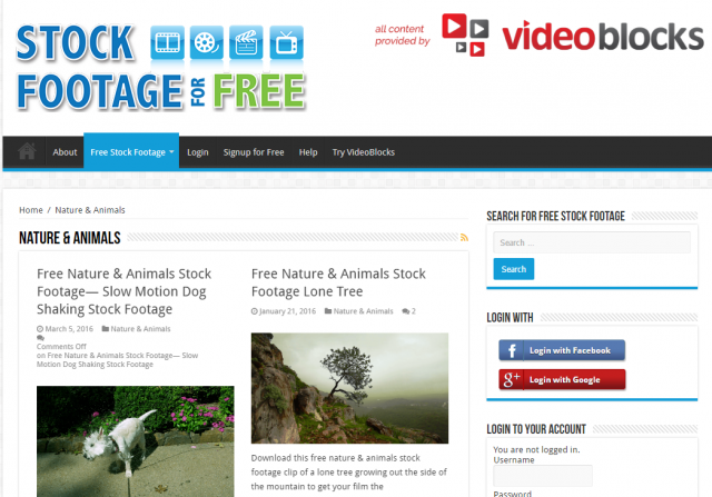Nature   Animals Archives   Stock Footage For Free