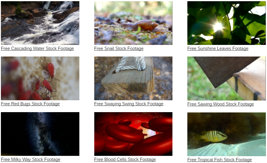 Totally Free Stock Footage Downloads HD Video