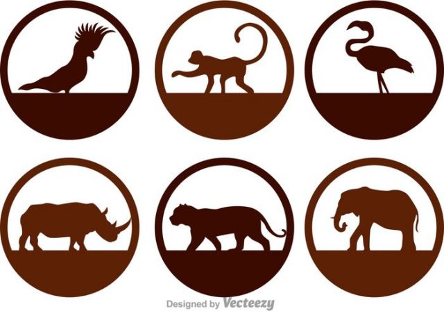 wild-animals-silhouette-icons-vector